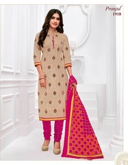 Authorized PRANJUL PRIYANSHI VOL 19 Wholesale  Dealer & Supplier from Surat