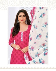 Authorized PRANJUL PRIYANKA VOL 11 Wholesale  Dealer & Supplier from Surat