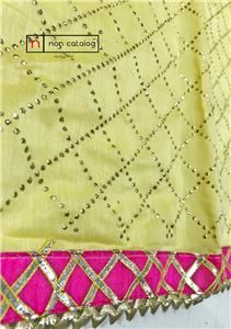 Dupatta And Top Work 91