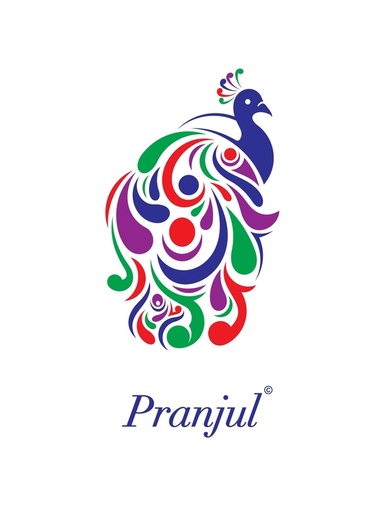 Authorized PRANJUL PRIYANKA VOL 10 Wholesale  Dealer & Supplier from Surat